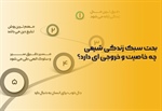 بحث سبک زندگی شیعی چه خاصیت و خروجی دارد